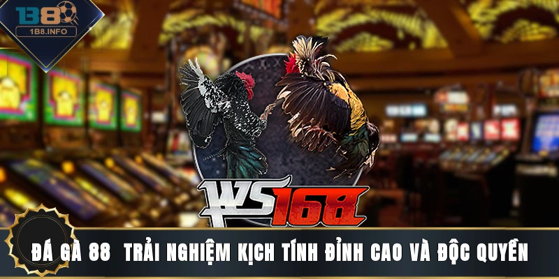 Đá gà 88